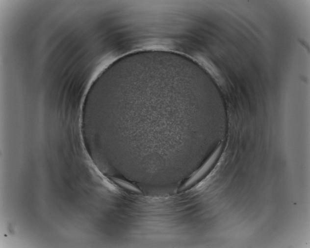 X0000098151240200804241731
