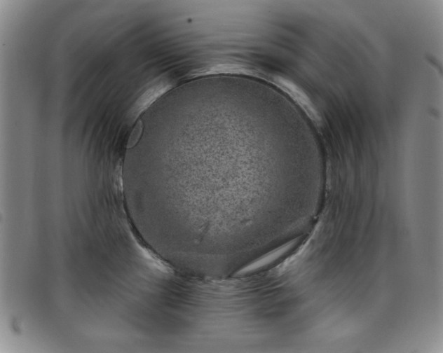 X0000098151241200804241731
