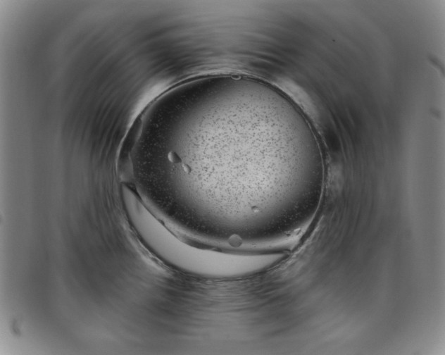 X0000098151242200804241731