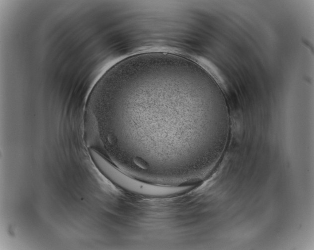 X0000098151244200804241732