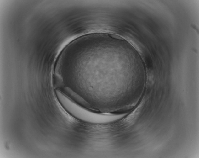 X0000098151246200804241732