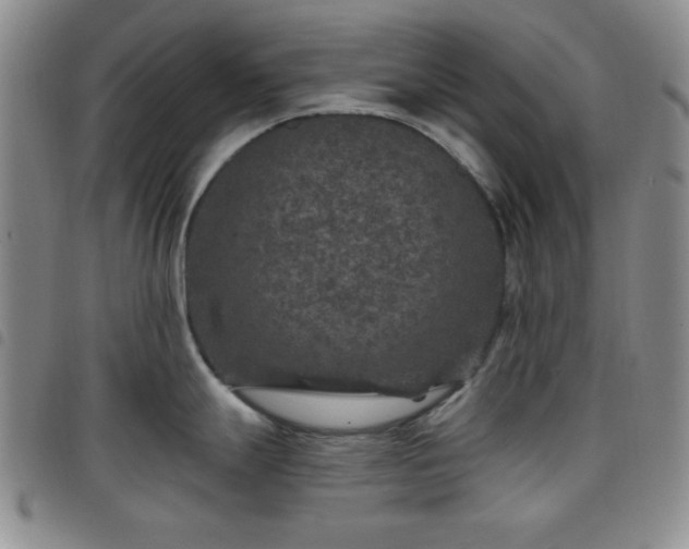 X0000098151247200804241732