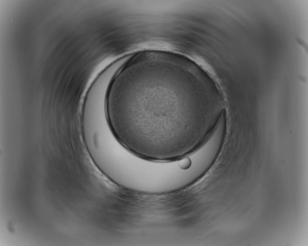 X0000098151248200804241732