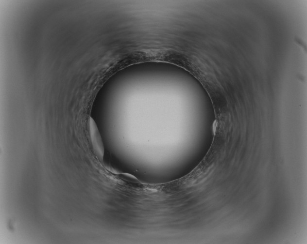 X0000098151249200804241731