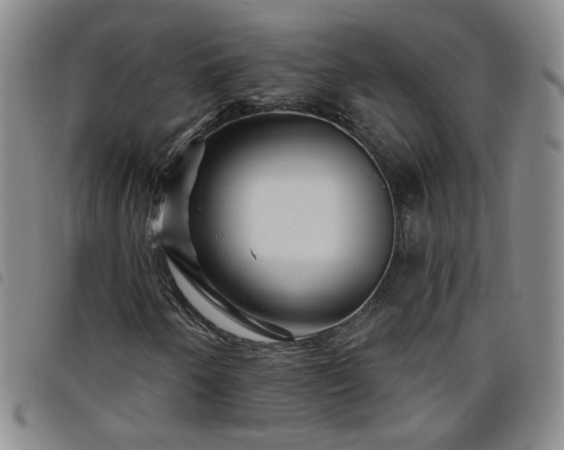 X0000098151250200804241731