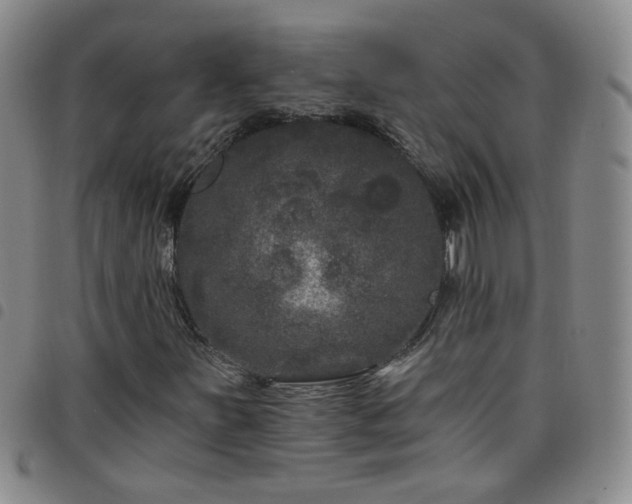 X0000098151251200804241731