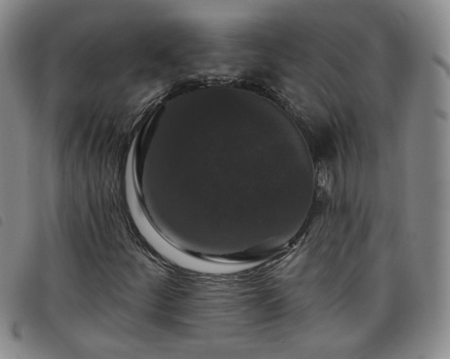 X0000098151252200804241731