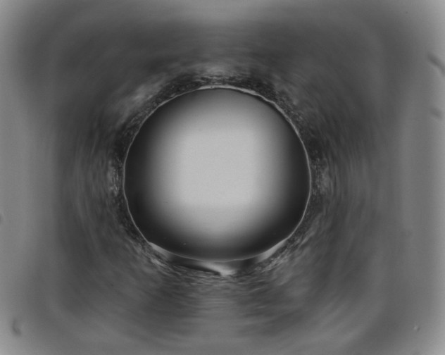 X0000098151253200804241731