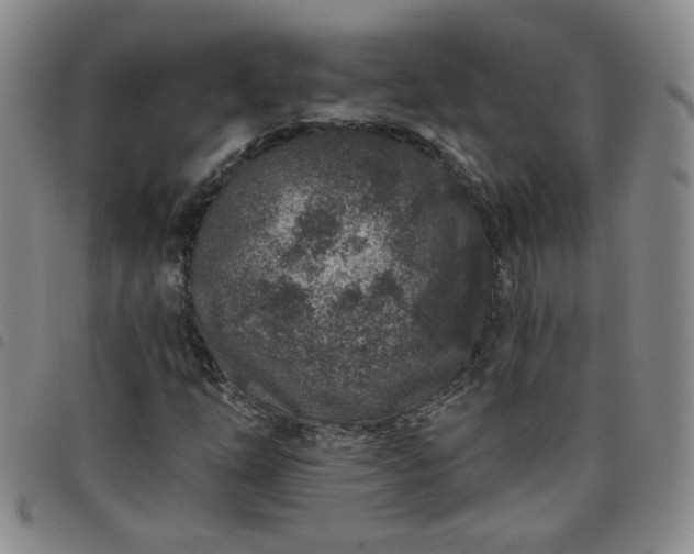 X0000098151254200804241731