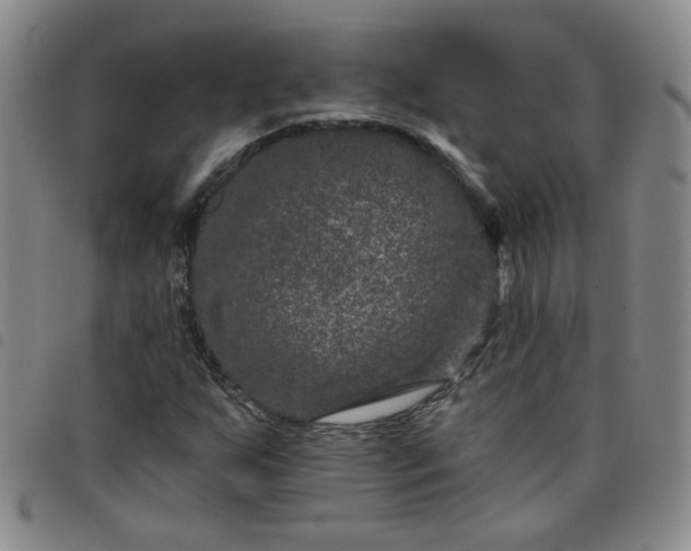 X0000098151255200804241731