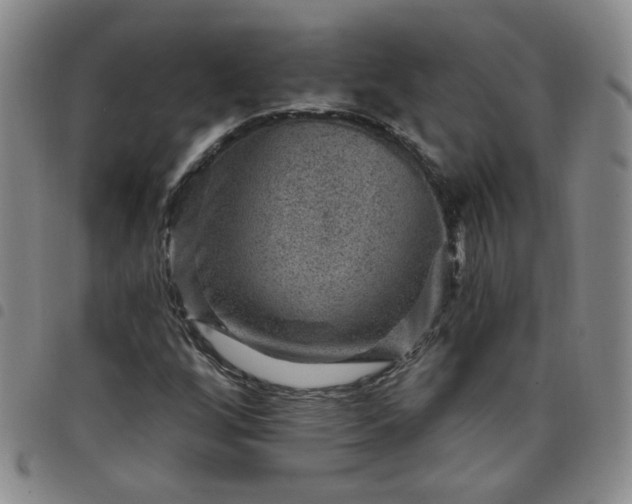 X0000098151256200804241731