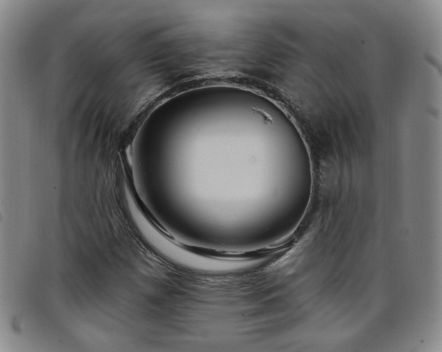 X0000098151257200804241731