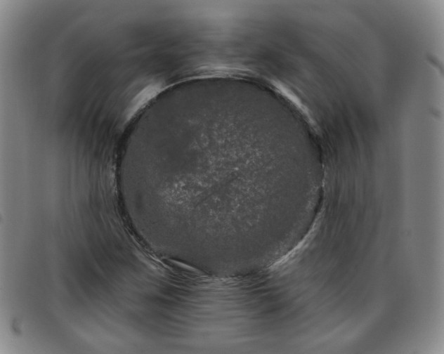 X0000098151259200804241731
