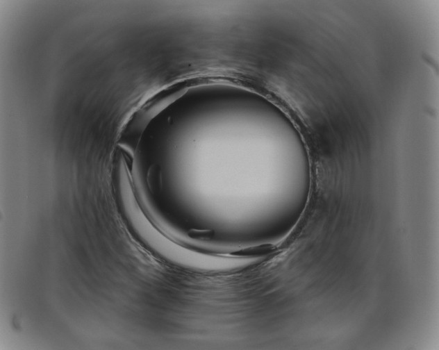 X0000098151260200804241731