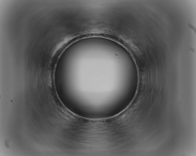 X0000098151262200804241731