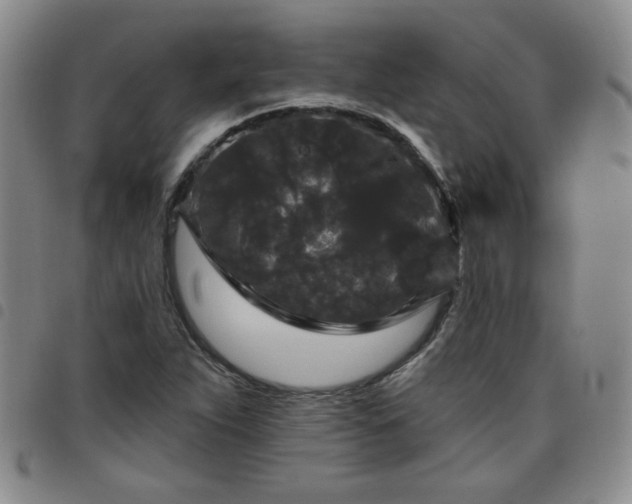 X0000098151263200804241731