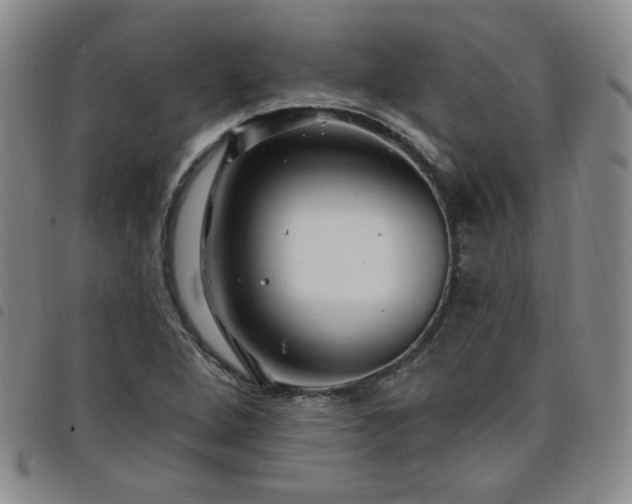 X0000098151264200804241731