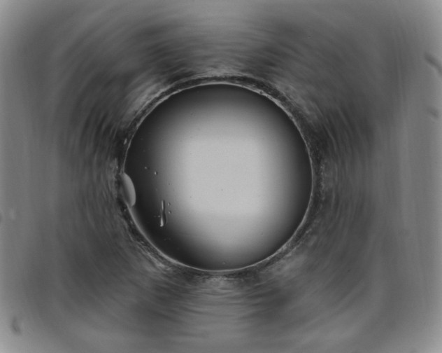 X0000098151265200804241730