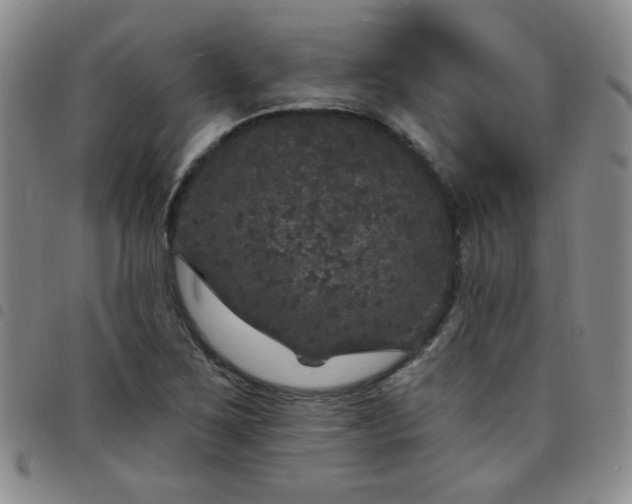 X0000098151267200804241730