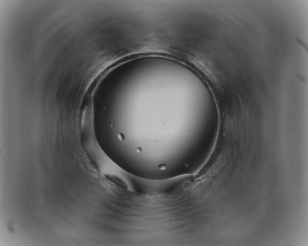 X0000098151268200804241730