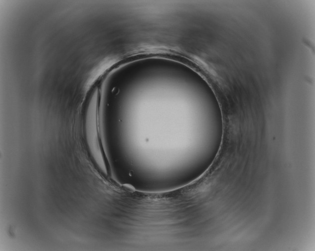 X0000098151269200804241730