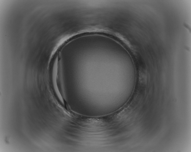X0000098151270200804241730