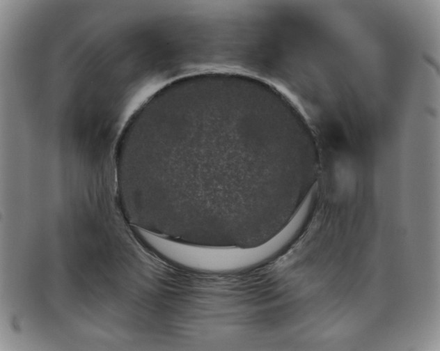 X0000098151271200804241730