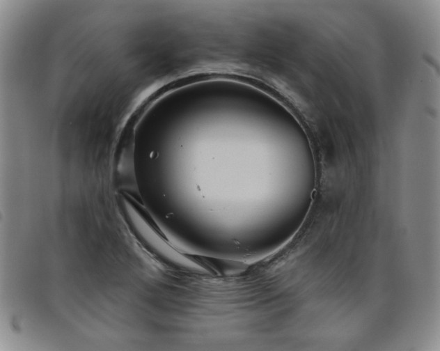 X0000098151272200804241730