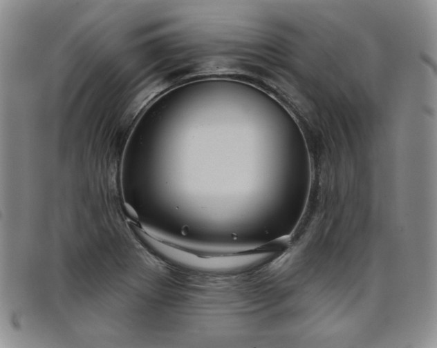 X0000098151273200804241730