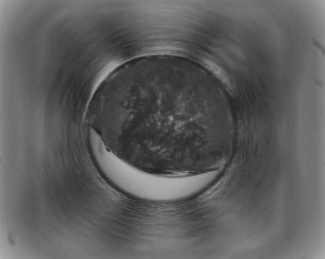 X0000098151275200804241730