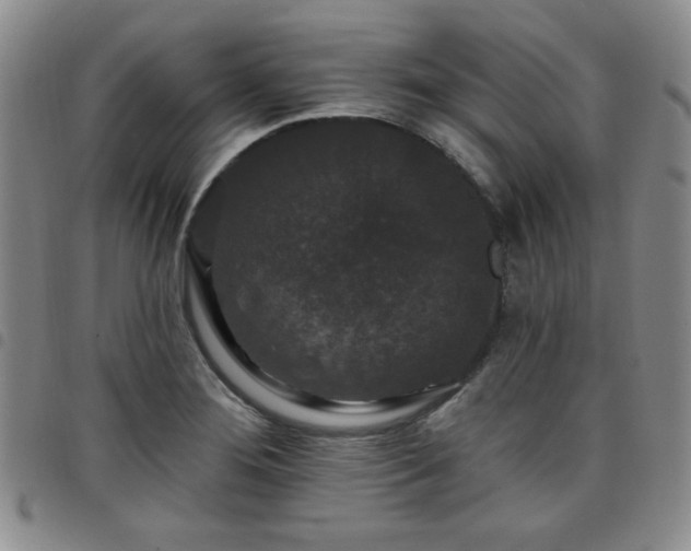 X0000098151276200804241730