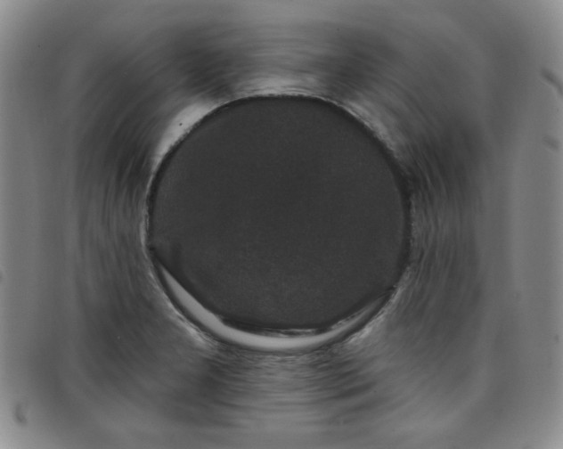 X0000098151277200804241730