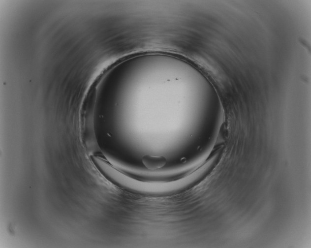 X0000098151280200804241730