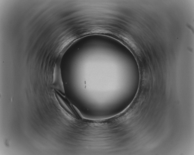 X0000098151281200804241730