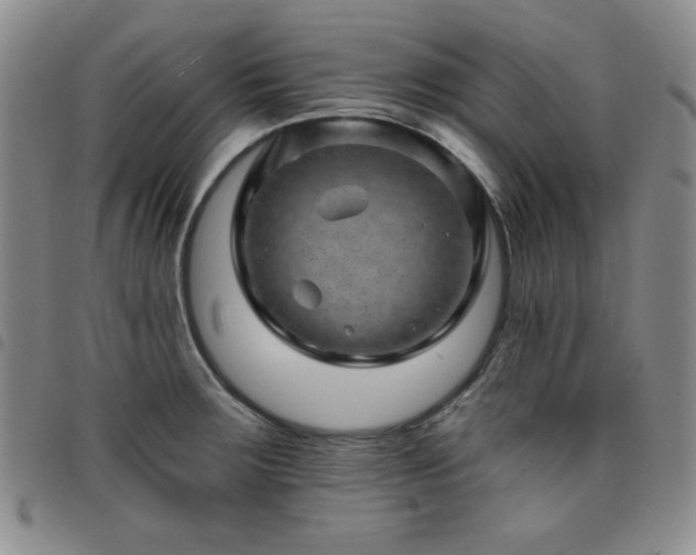 X0000098151283200804241730