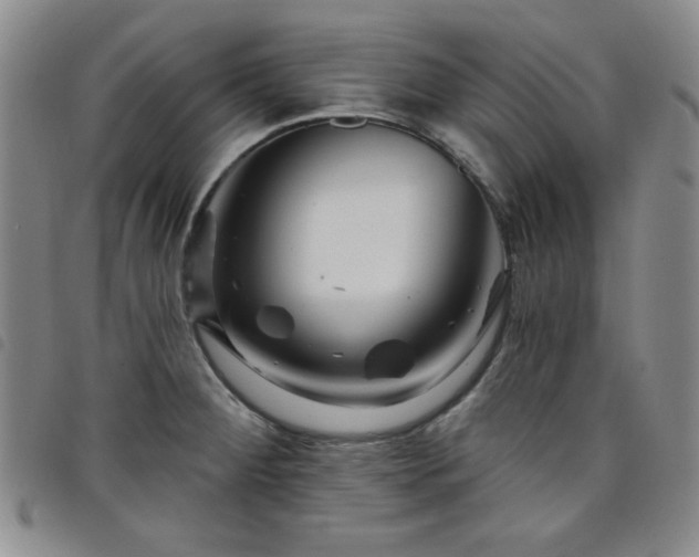 X0000098151284200804241730