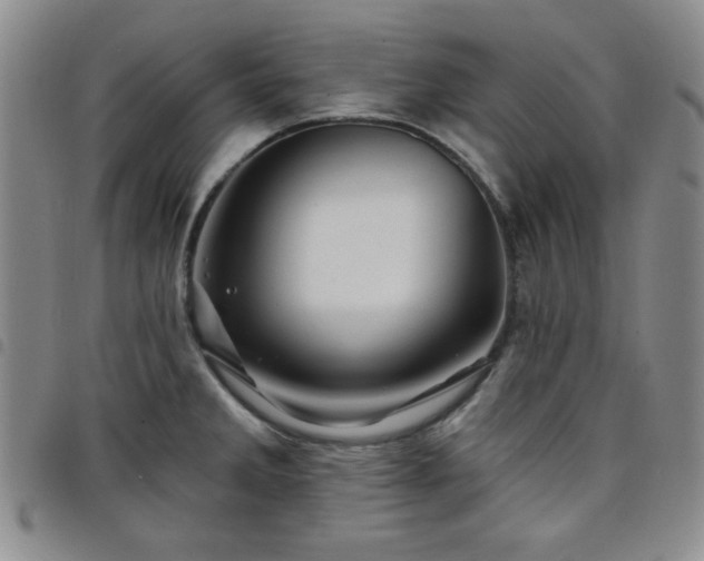 X0000098151285200804241730