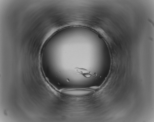 X0000098151286200804241730