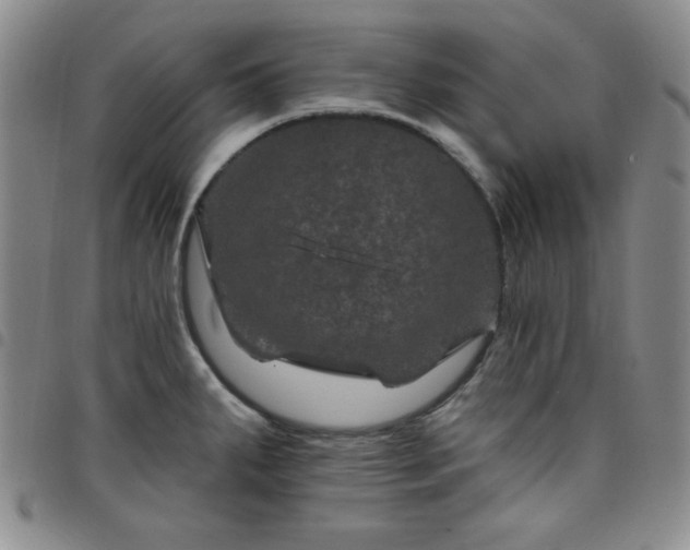 X0000098151287200804241730