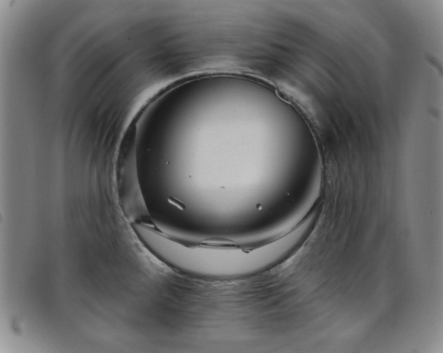 X0000098151288200804241730