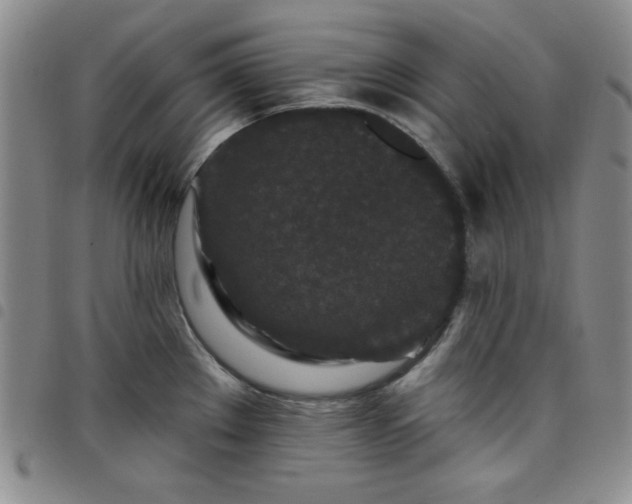 X0000098151289200804241730