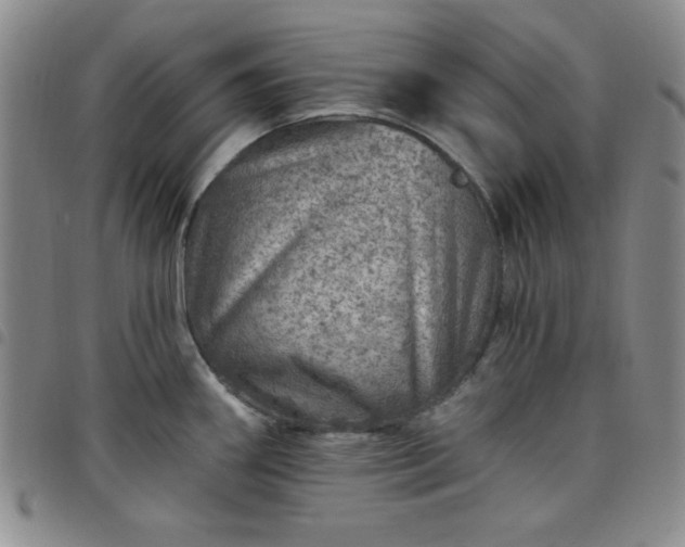 X0000098151290200804241730