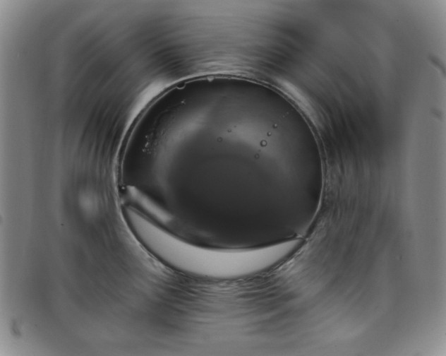 X0000098151291200804241730