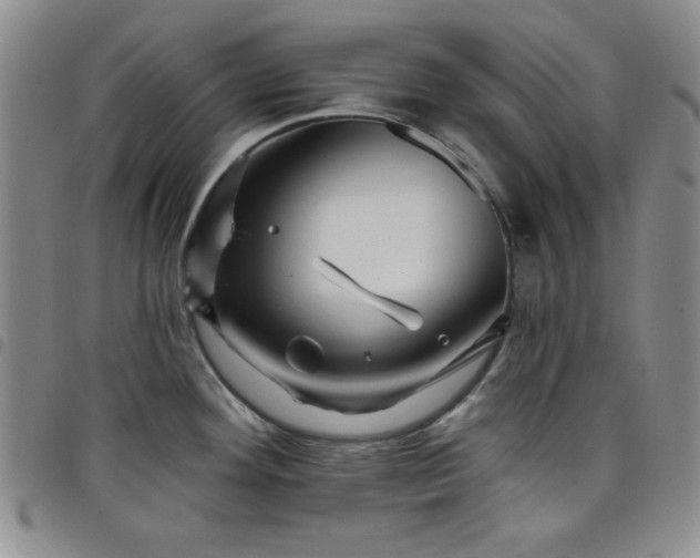 X0000098151292200804241730