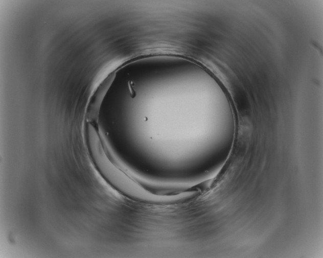 X0000098151293200804241730