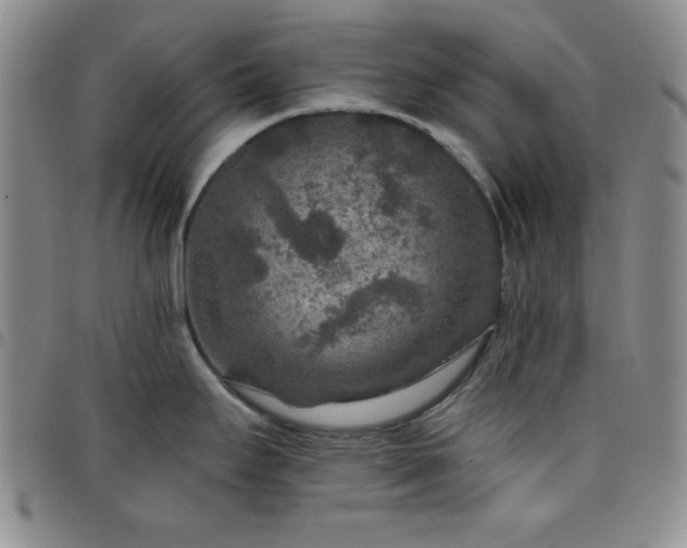 X0000098151295200804241730