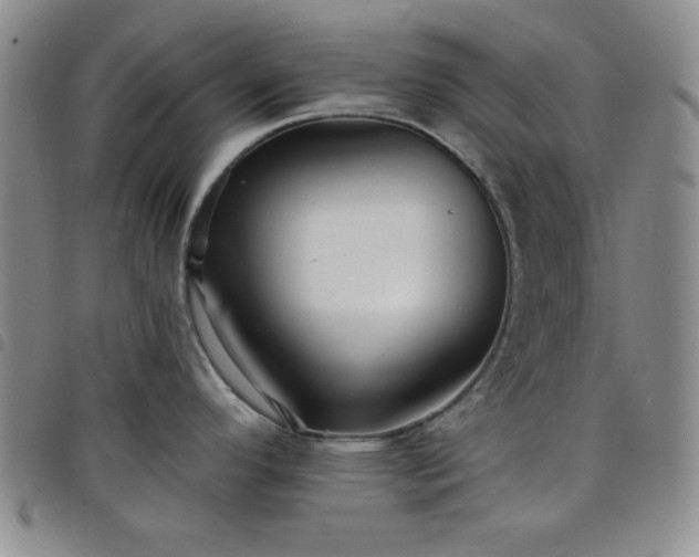 X0000098151296200804241730