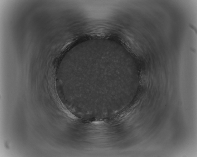 X0000098151297200804241729