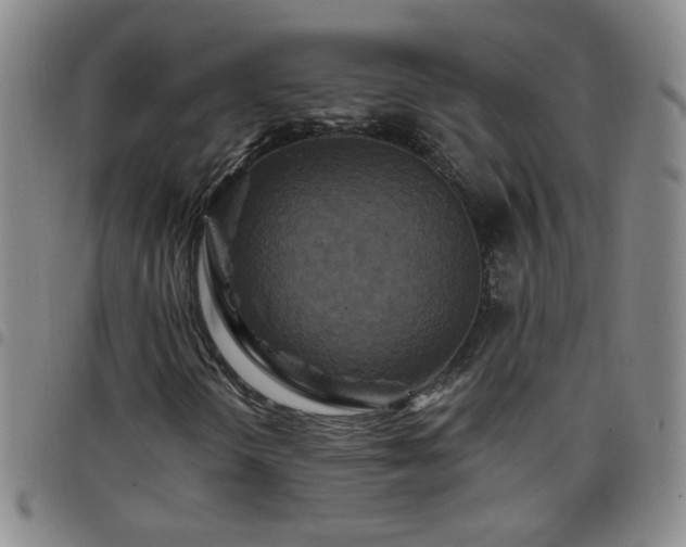 X0000098151298200804241729
