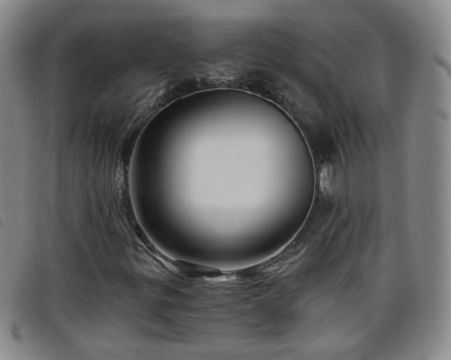 X0000098151299200804241729
